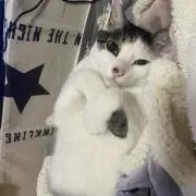 にゃんちゃるぅᜊ•ᴗ•ᜊ