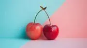 Cherryの画像
