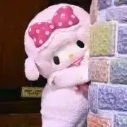 ぽんの画像