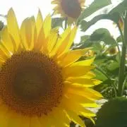 e-r