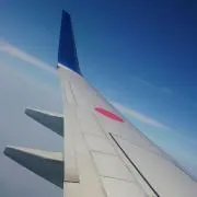 しのの画像
