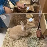 じゅんの画像