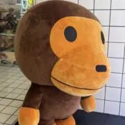 まいろさん（5）の画像