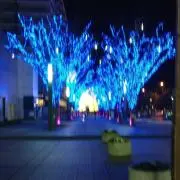 ままちゃんの画像