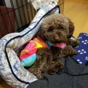 ごんざ★プロフ必読★の画像