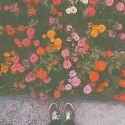 ytの画像