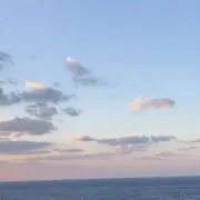 Suiの画像