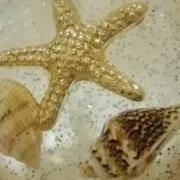 ラブの画像