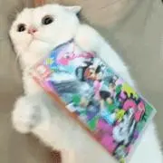 ルルルルルルオラオラ
