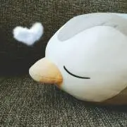 しめみの画像