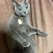 marimarinの画像