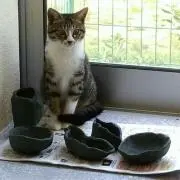 バーチーの画像