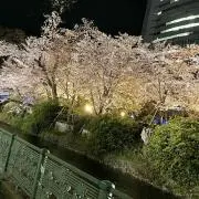 あまちゃん