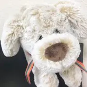 まちこの画像
