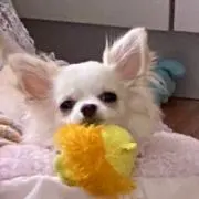 優希‪‎˚⋆✶⋆ .⟡·̩͙꙳‎⋆ ˚の画像