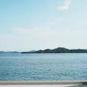 *プロフ必読の画像