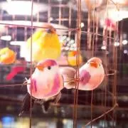 ににの画像