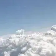 ゆみの画像