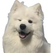 Ri：引っ越し前に売りたいの画像