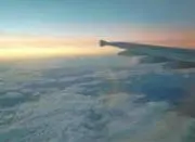 Daiの画像
