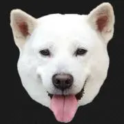 Yuchanの画像