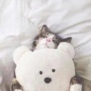 ぴー★