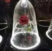 雪見大福☺︎の画像