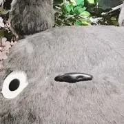 mister