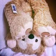 m♡の画像