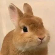 なの画像
