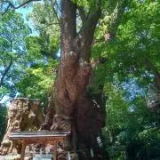 yumiの画像