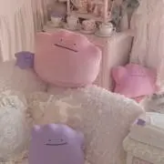わんこの画像