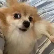 まとめ購入で100円引！プロフ必読！
