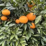 keibasu0610の画像