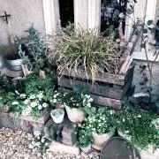 hana＊* コレクション放出中の画像