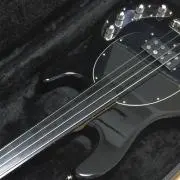 stingrayの画像