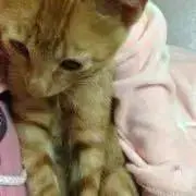 n♡の画像