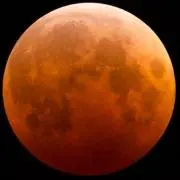 Moon ♪プロフ必読♪の画像
