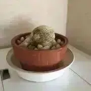 015の画像