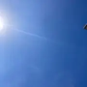 maaakoの画像