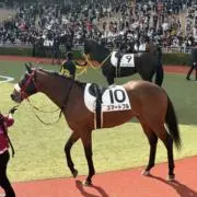 うーたんの画像
