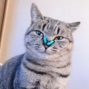 値下げ交渉大歓迎☆ミンモの画像
