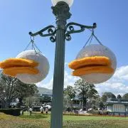 いちごの画像