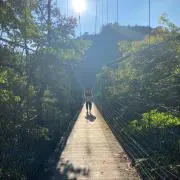 つくだ煮の画像