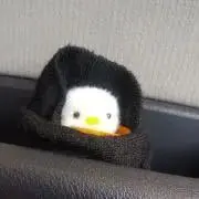 hamu8の画像
