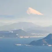 ちびの画像