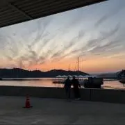 八朔の画像