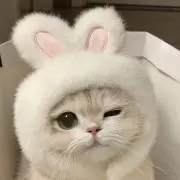 m♡の画像
