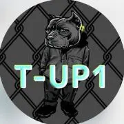 Image of T-up1