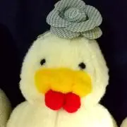 めんどりーぬ